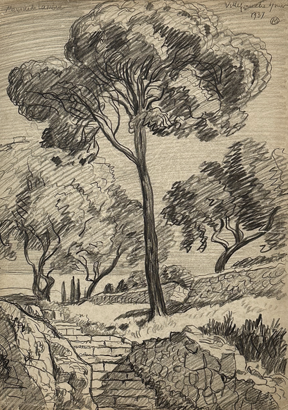 Early 1900's Vintage French Graphite Landscape Drawing of Trees, Signed by Maurice de Lambert, 1937