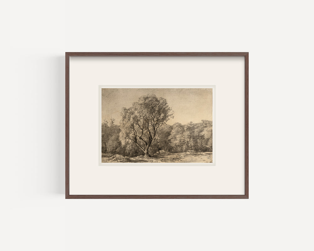 Early 1900's Antique French Charcoal Bucolic Valley Landscape Scene on Paper