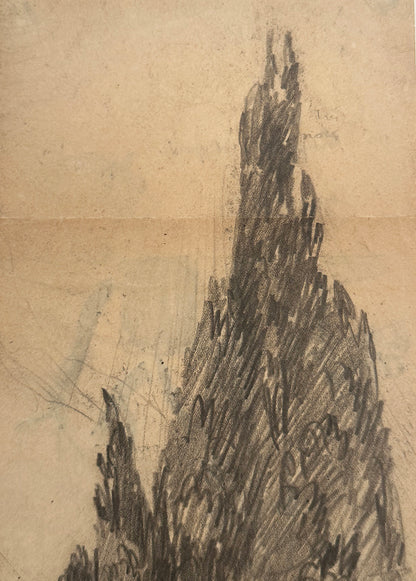 Rare Early 1900's Antique French Charcoal Drawing of Cypress on Paper, Signed by French Artist Maurice de Lambert