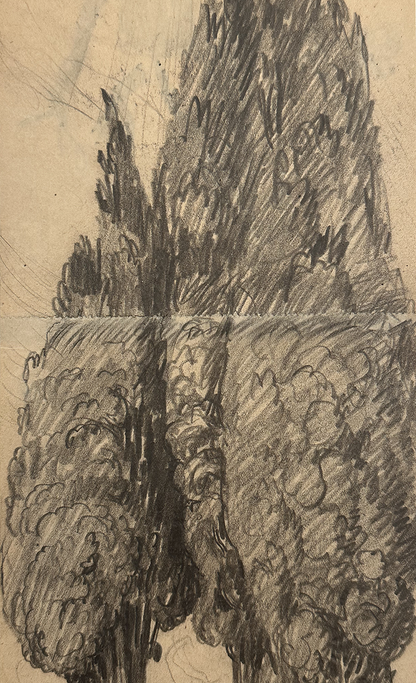 Rare Early 1900's Antique French Charcoal Drawing of Cypress on Paper, Signed by French Artist Maurice de Lambert