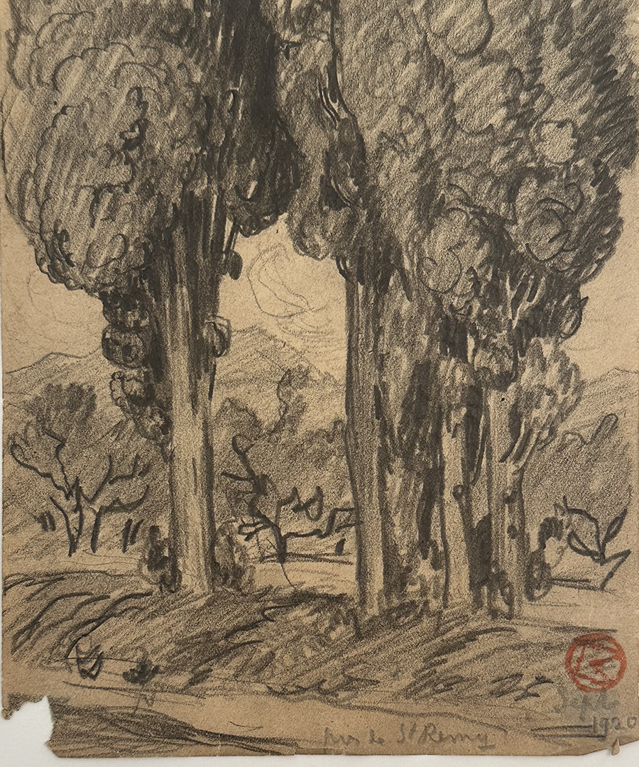 Rare Early 1900's Antique French Charcoal Drawing of Cypress on Paper, Signed by French Artist Maurice de Lambert