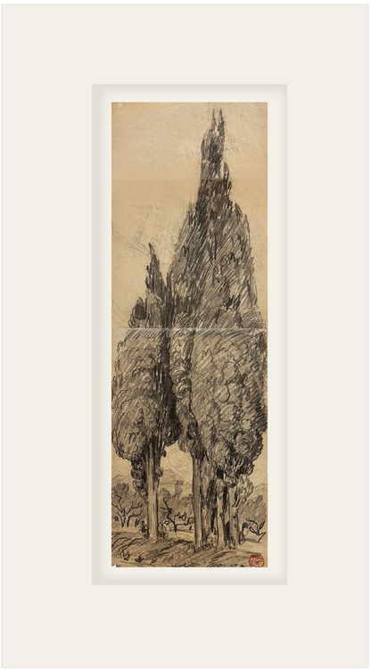 Rare Early 1900's Antique French Charcoal Drawing of Cypress on Paper, Signed by French Artist Maurice de Lambert